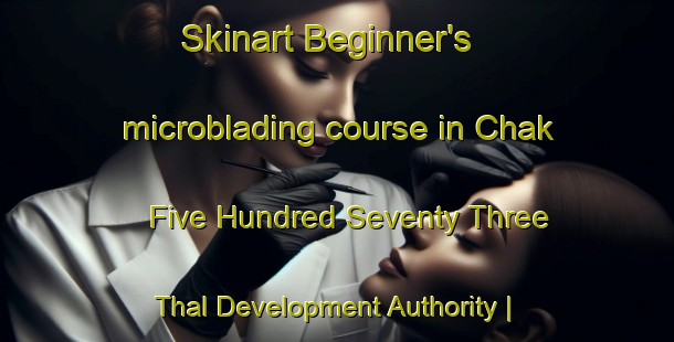 Skinart Beginner's microblading course in Chak Five Hundred Seventy Three Thal Development Authority | MicrobladingTraining | MicrobladingClasses | SkinartTraining-Pakistan